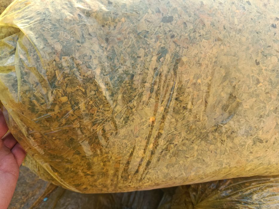 Silos senaj sotilidi  20kg qopda