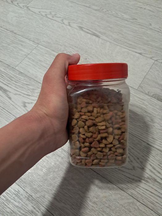 Отдам даром кота