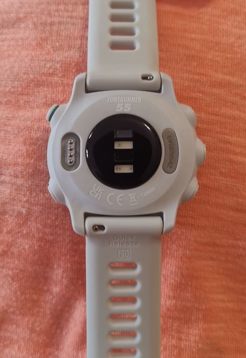 Спортивные часы Garmin Forerunner 55 White