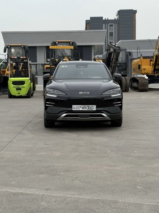 Byd chimpion smart