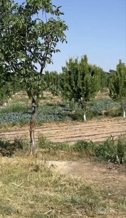 УНИКАЛЬНЫЙ инвестиционный комплекс в Ташобласти