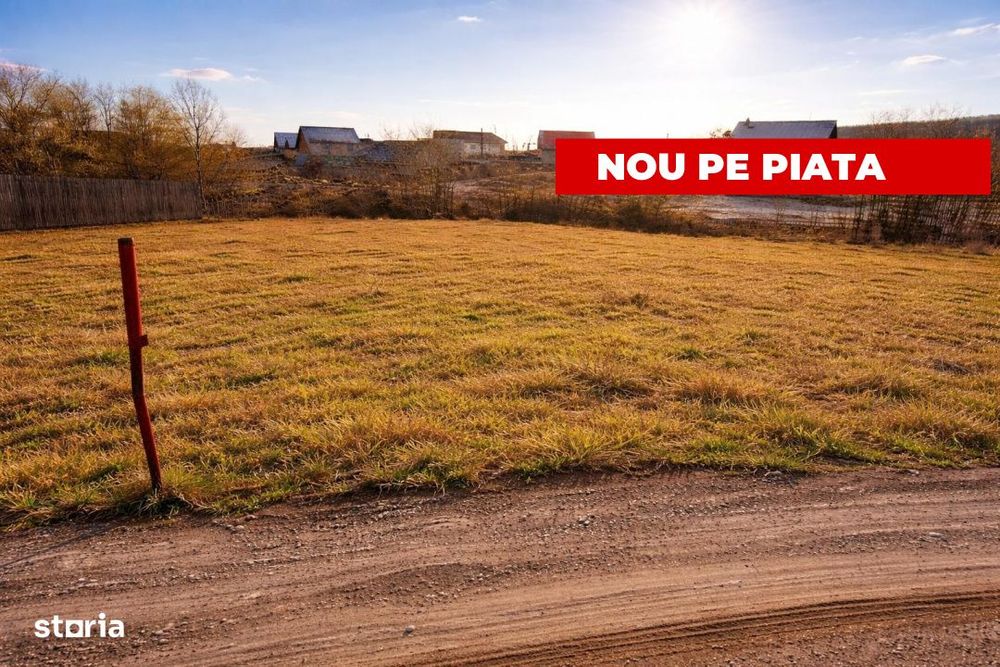 Teren 601 m2 intravilan Smeura - Stoenari