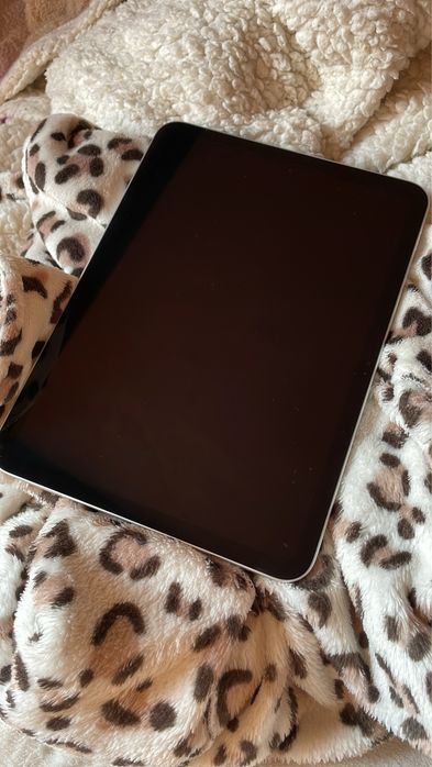 Apple ipad nou 10th generation + pix