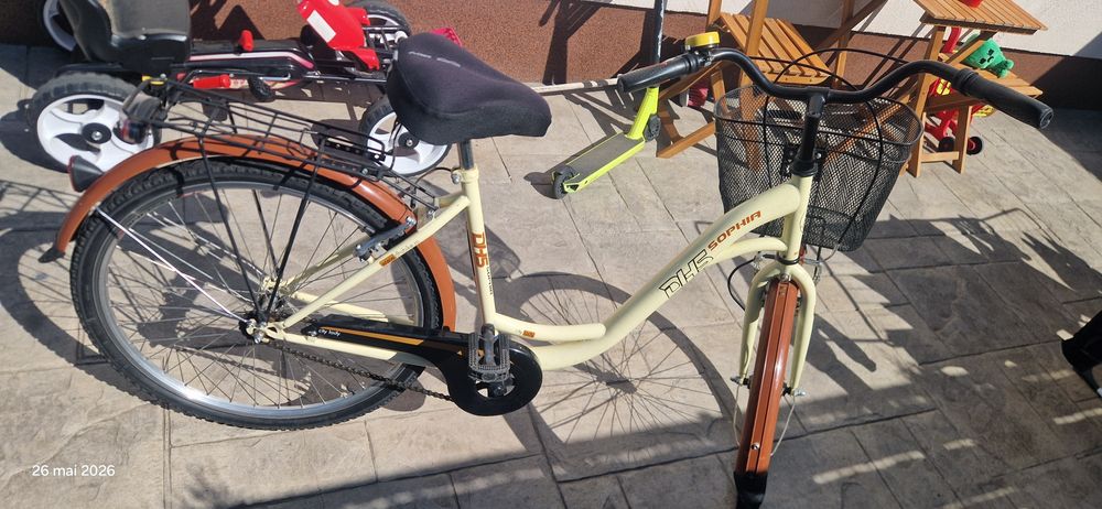Bicicleta dama vintage