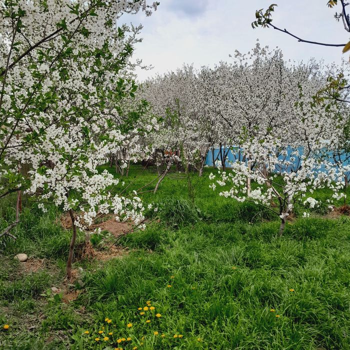 Uy joy sotiladi va kelishiladi