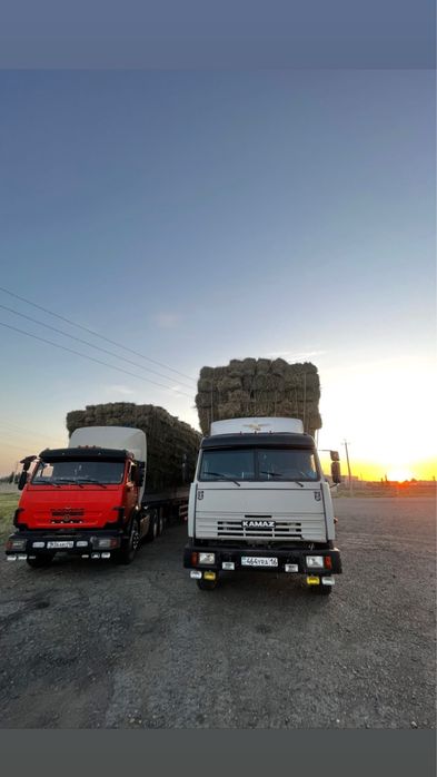 Продам сено.    .