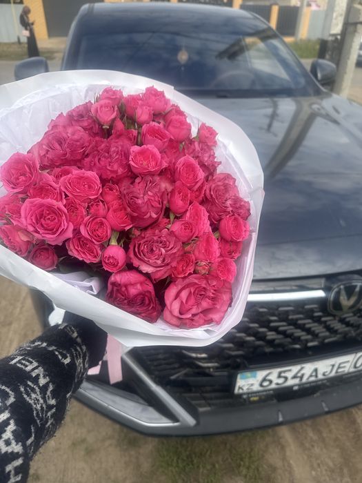 6000 гүл ап арзанғо