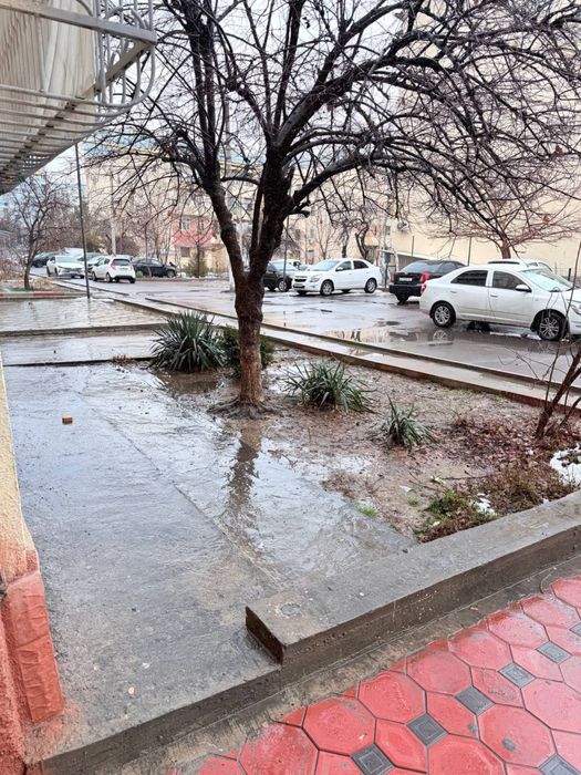 Dom Sotiladi 4xona Algoritm Muhlisa