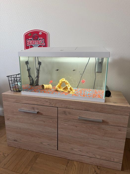 Продаю аквариум с тумбой