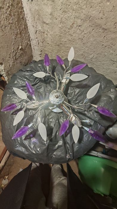 Полилей два броя