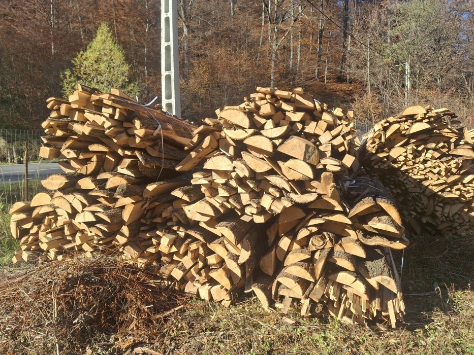 Lemne foc laturoaie Stejar uscate