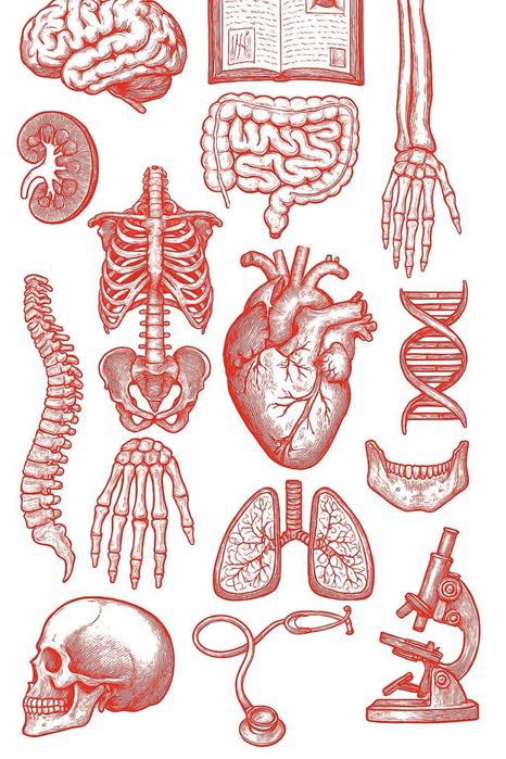 Meditatii BIOLOGIE BAC/Admitere