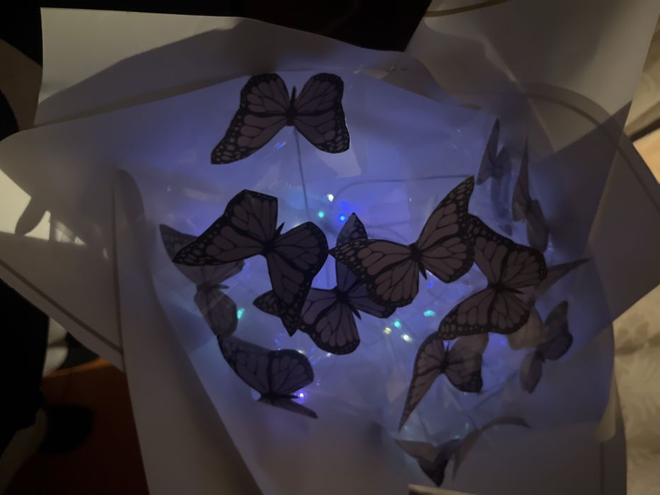 букет из бабочек, бабочка букет