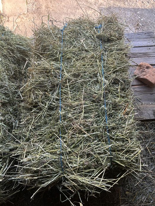 De vânzare baloți de lucernă