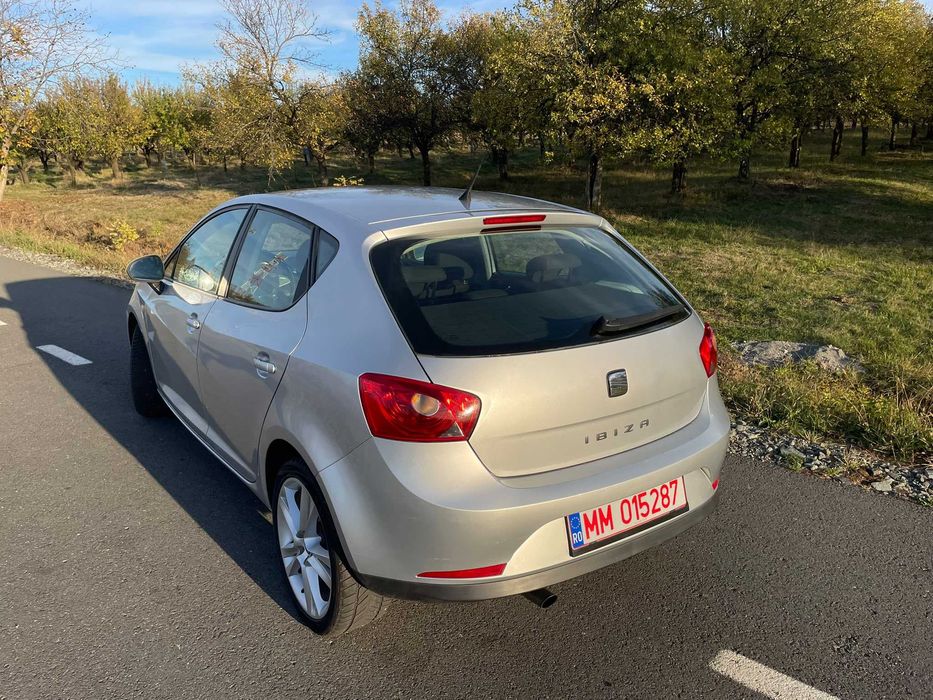 SEAT Ibiza 2010 — imagine 3