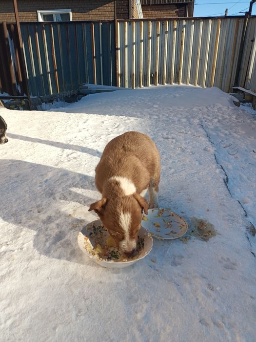 СРОЧНО!!! Срочно!