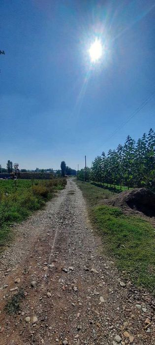 Срочно Продается Участок в Пскенте Цена Договорная.