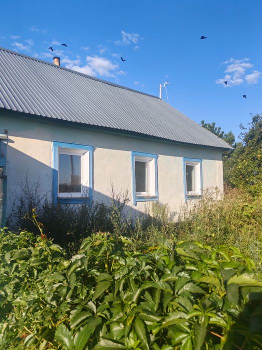 Продам дом в Архиповке