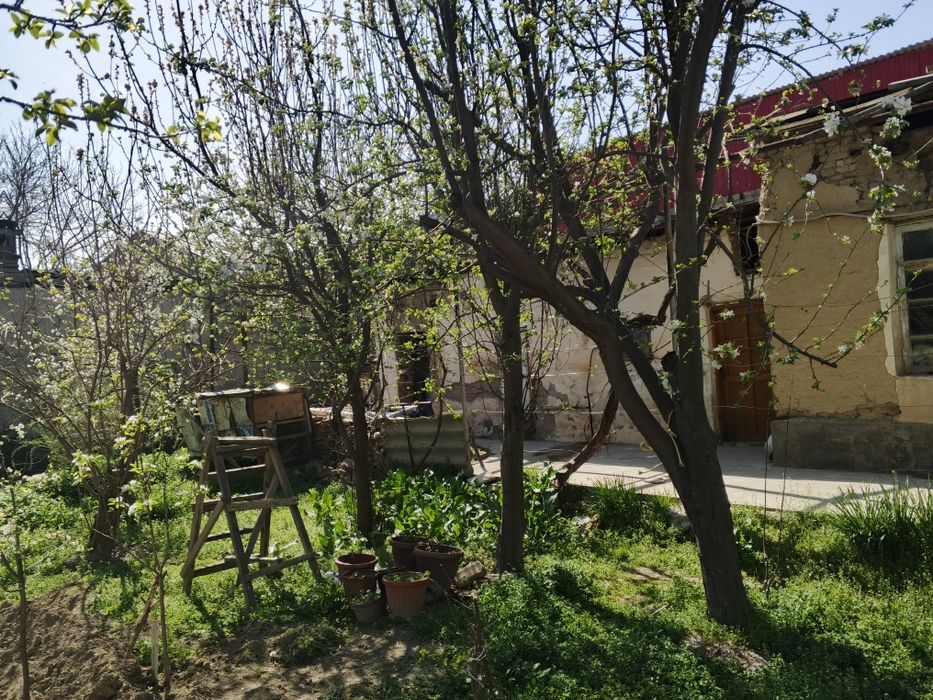 Ховли сотилади ( бир кисми).Двор продается (часть) .