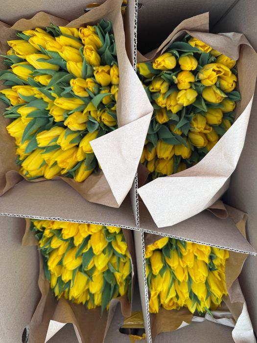 Акция на тюльпаны