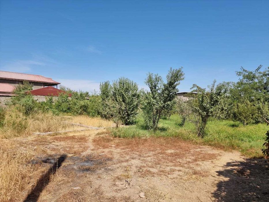 Недвижимость Земля