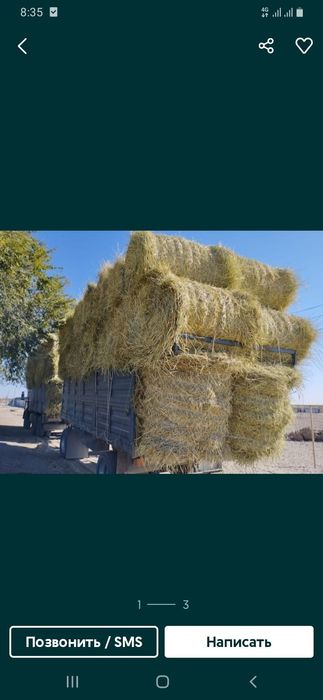 Сено шоп сатамын урлон шоп саван сатамын урлон