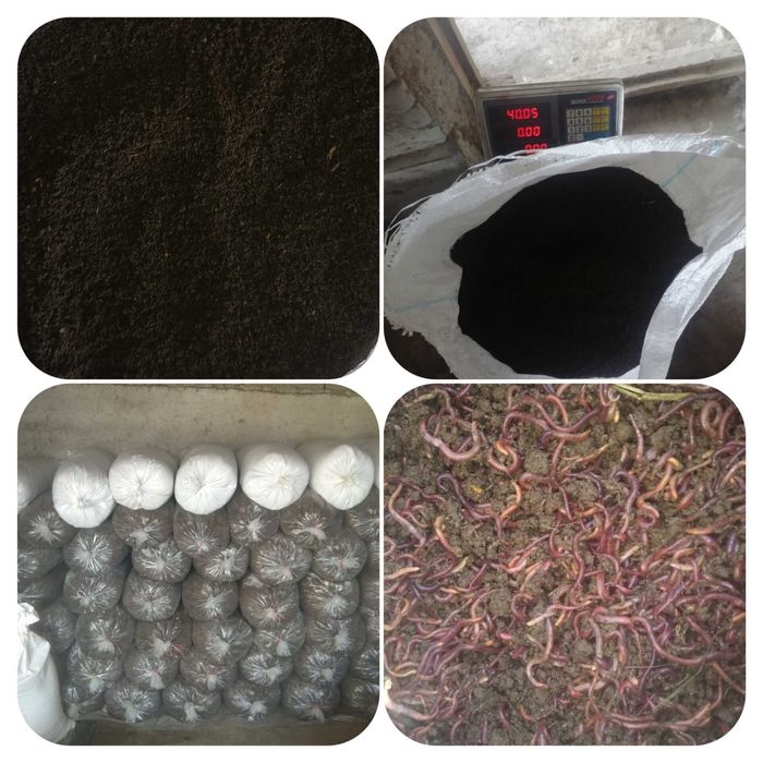 Chuvalchang kg xisobida