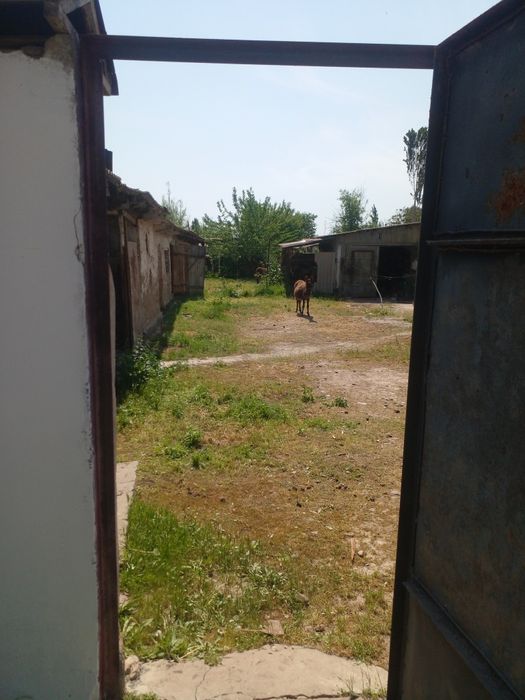 Уй сотилади срочно Ташкент вилояти, Бука тумани Бустон мфй  Марказий к