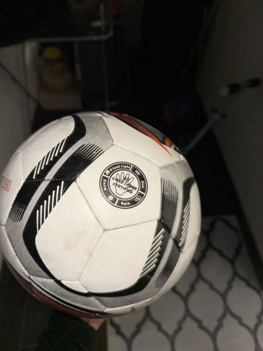 Minge Joma importanta