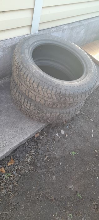 Шины шипованные Кордиант
