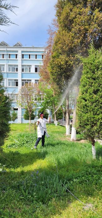 Дарахт касалликларига қарши курашиш хизмати