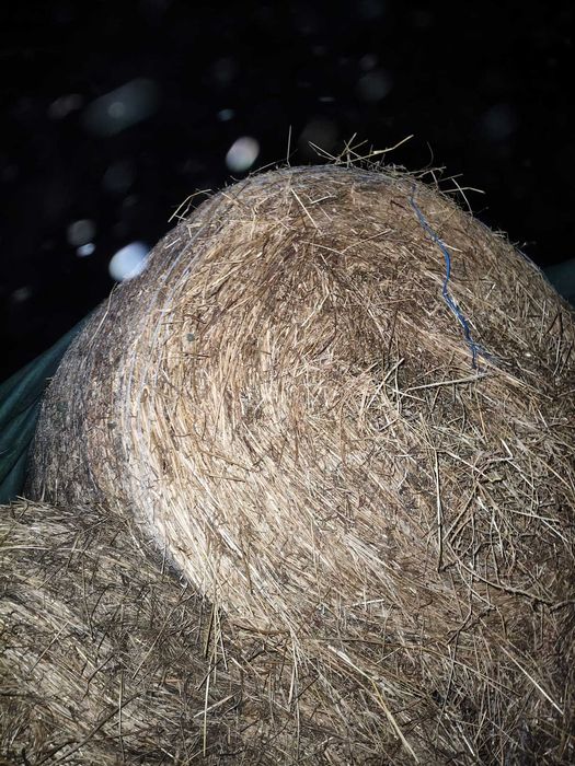 Baloti de amestec lucernă și fân