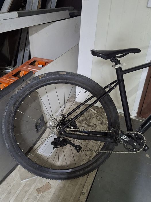 Giant Talon 1 2021