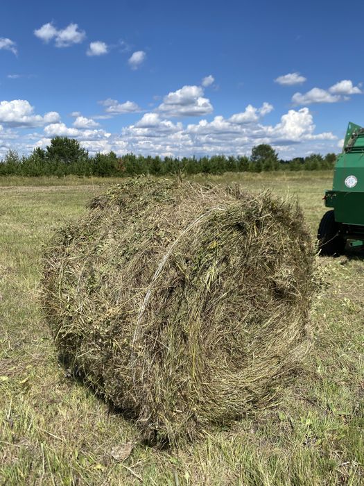 Сено рулон разнотравье 250кг