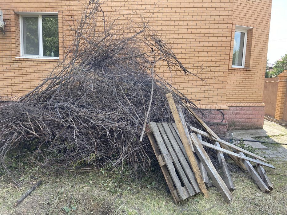 Отдам даром сухие дрова
