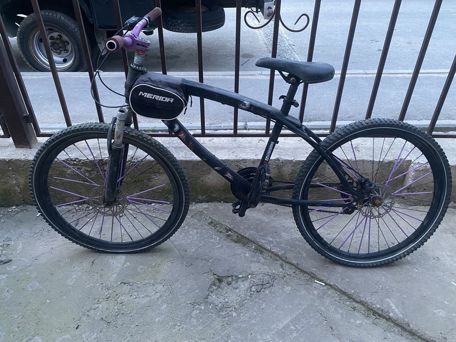 Стант велик шымкент