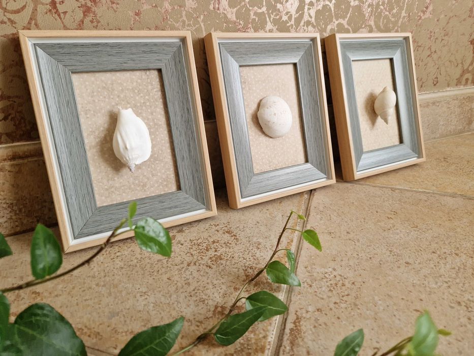 Tablouri unicat cochilii scoici pentru baie, hol, camera copil etc