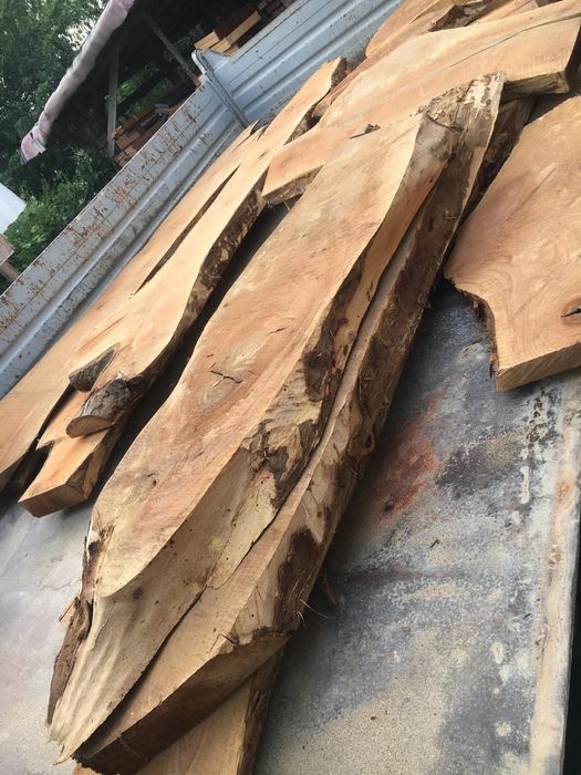 Шайби и янове от Орех