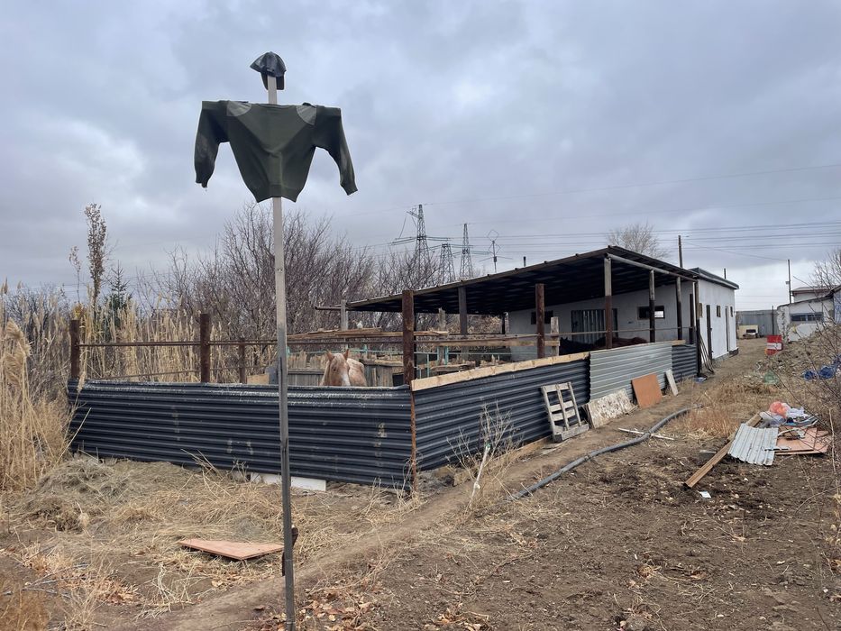 Дача 12 сот  ……..