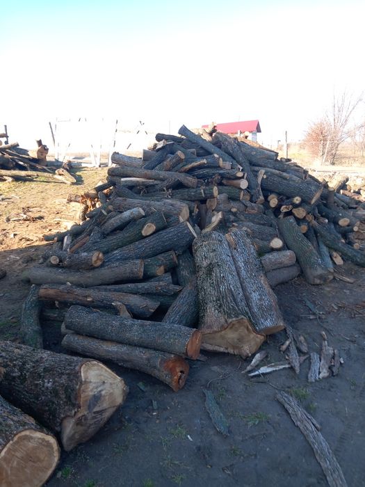 Lemne pentru foc !