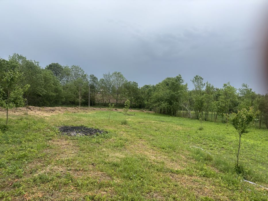 Vand teren In Recas sat Petrovaselo 1050 mp 19999 euro!!