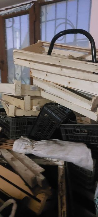 ОТЫН ДРАВА агаштар