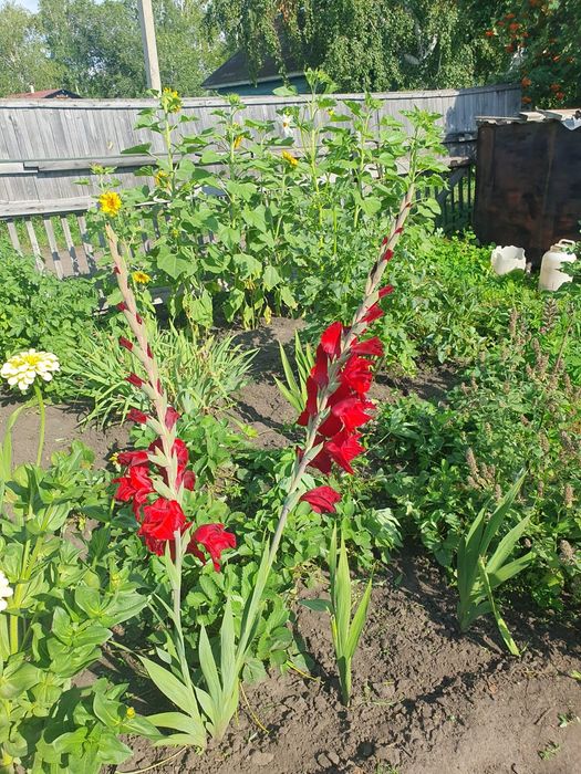 Продам дачу,,Тихая роща,,