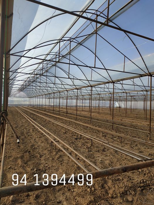 Теплица qurish xizmati  (parnik, issiqxona)