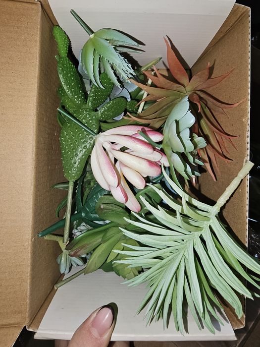 Vand decoratiuni, licheni, burete trandafiri sapun