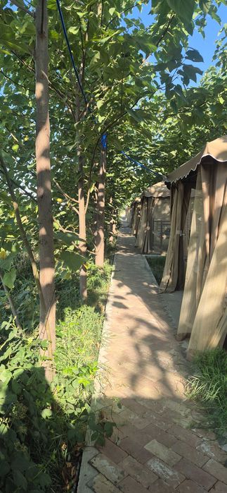 RANCHO чойхона, кафе бар, FAMILY ZONE