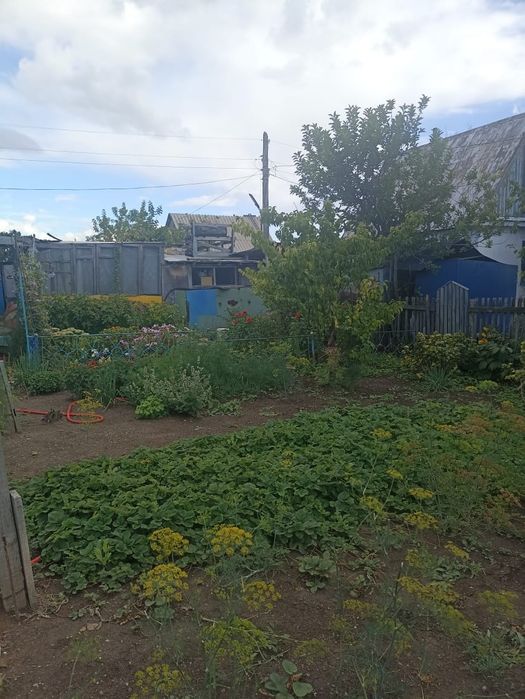 Продается дача Черёмушки