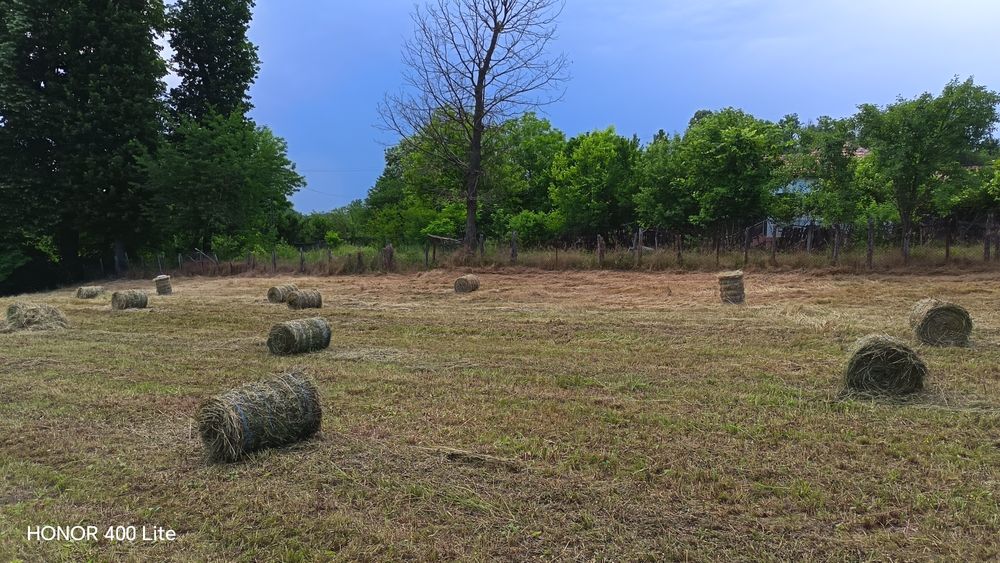 Vând baloti fân rotunzi, mici, 20 kg.
