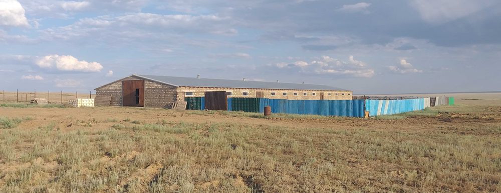 Срочно продается хозяйство в форме СПК