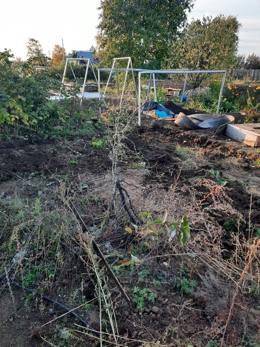 Продам дачу на Союзе